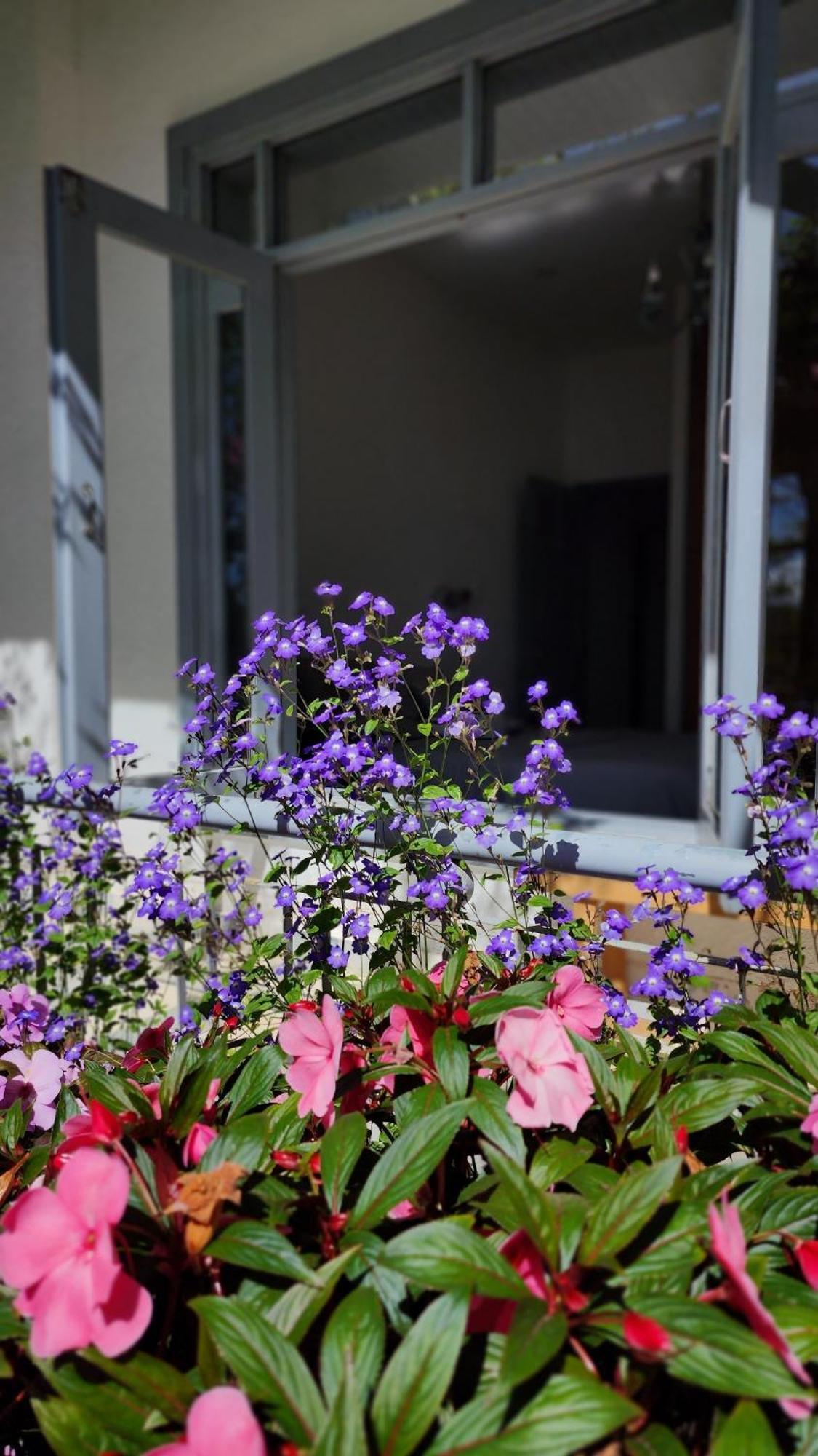 Tia Du Villa Homestay 달랏 외부 사진