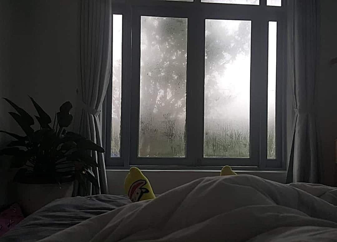 Tia Du Villa Homestay 달랏 외부 사진